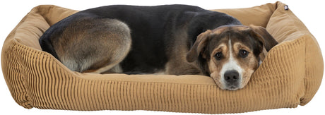 Hund liegt in einem beigen, gerippten Hundebett und schaut aufmerksam, Hundebett ist rechteckig.