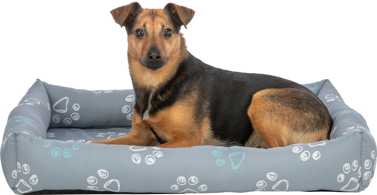 Hund liegt in einem grauen Hundebett mit Pfotenabdrücken, Kopf hoch, aufmerksam schauend.