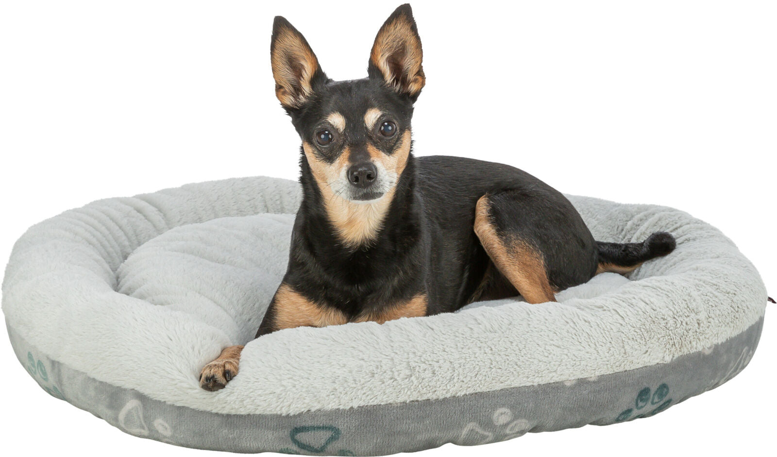 Ein kleiner Hund liegt auf einem runden, grauen Hundebett mit weicher, plüschiger Oberfläche.