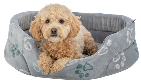 PHO_PRO_DOG_CLIP_377041-377042-377043-377044-377045-377046-1