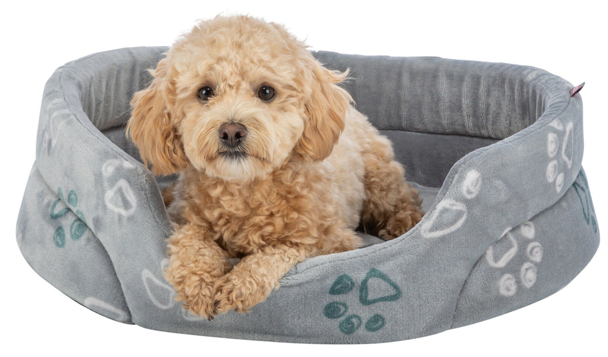 PHO_PRO_DOG_CLIP_377041-377042-377043-377044-377045-377046-1