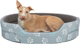 PHO_PRO_DOG_CLIP_377061-377062-377063-377064-377065-377066-1
