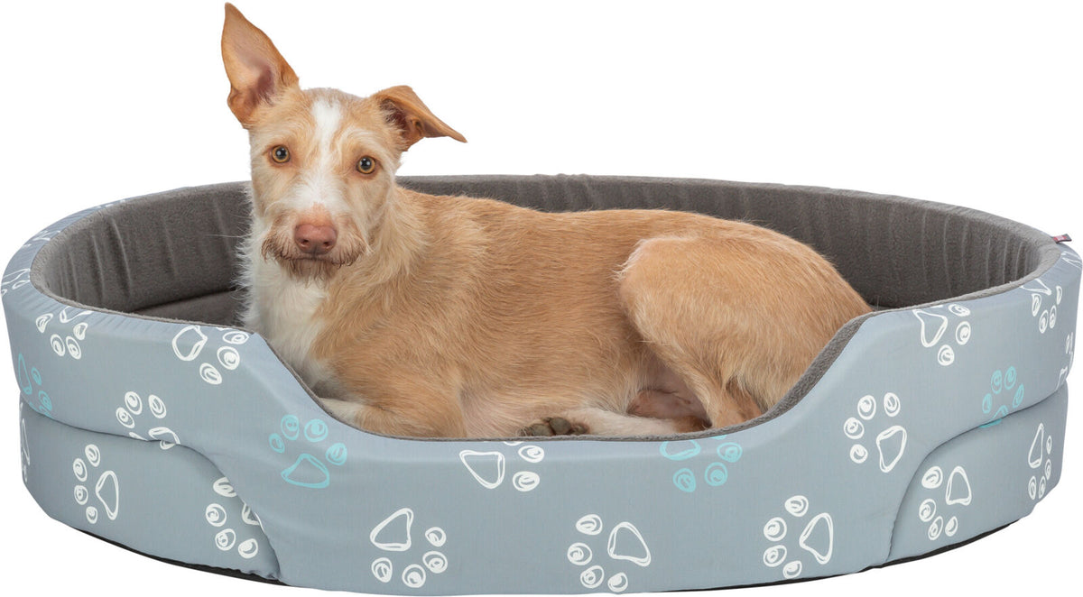 Ein hellbrauner Hund liegt in einem grauen Hundebett mit weißen und blauen Pfotenabdrücken.