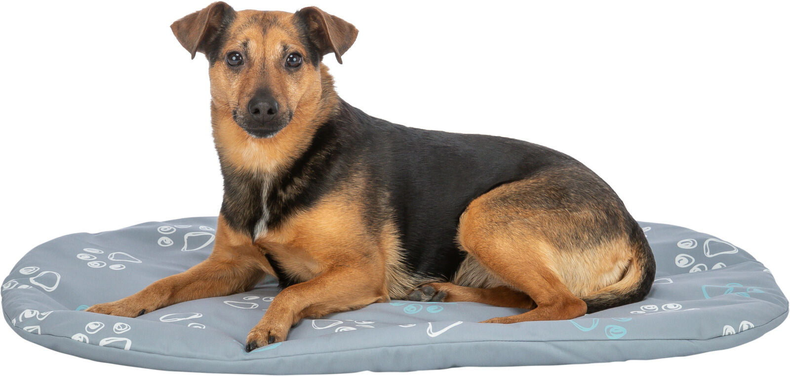 Ein mittelgroßer Hund mit schwarz-braunem Fell liegt auf einem grauen Hundebett mit Muster.