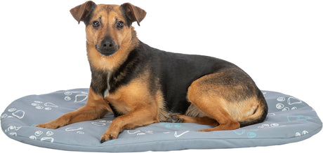 Ein mittelgroßer Hund mit schwarz-braunem Fell liegt auf einem grauen Hundebett mit Muster.