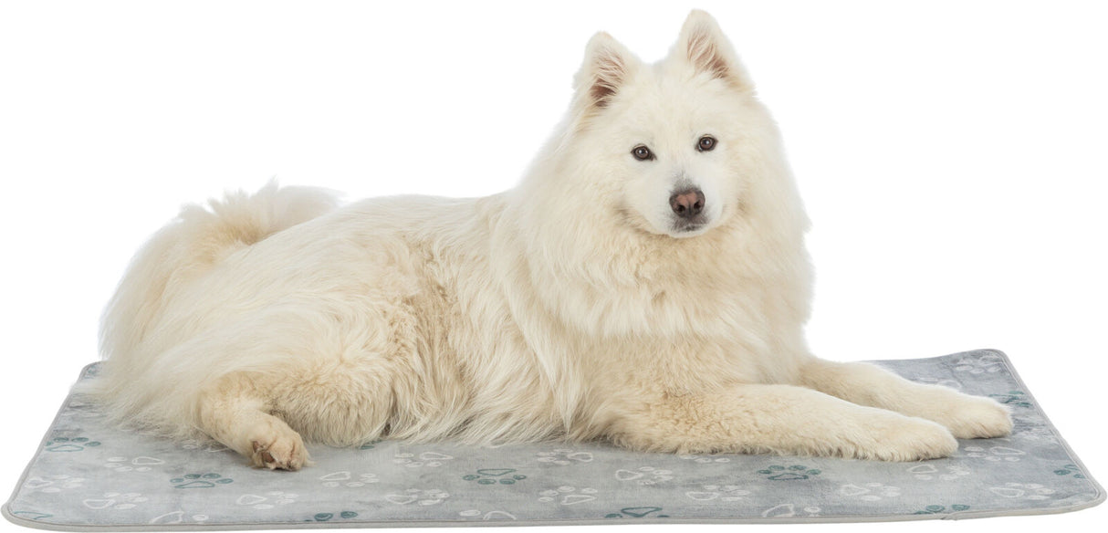 Weißer Hund liegt auf grauer Matte mit Pfotenabdrücken darauf.