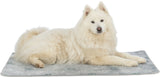PHO_PRO_DOG_CLIP_377130-377131-377132-1