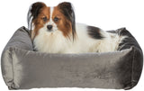 PHO_PRO_DOG_CLIP_37720-37721-2
