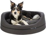PHO_PRO_DOG_CLIP_37730-37731-1