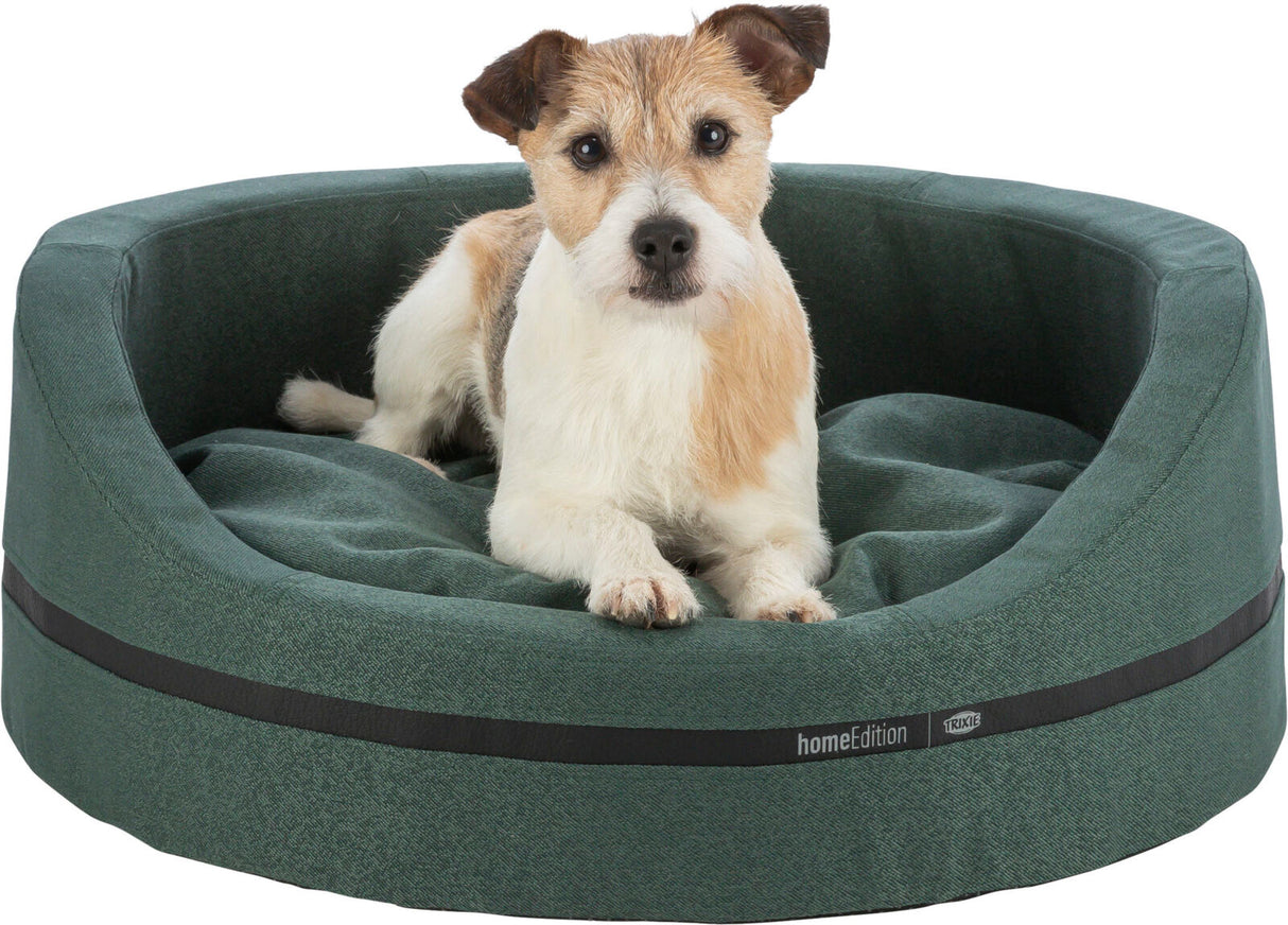 PHO_PRO_DOG_CLIP_37732-37733-1