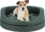 PHO_PRO_DOG_CLIP_37732-37733-1
