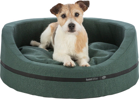 PHO_PRO_DOG_CLIP_37732-37733-1