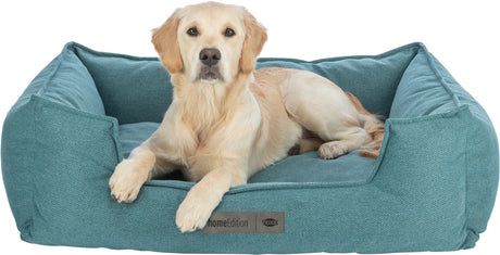 PHO_PRO_DOG_CLIP_37744-37745-37746-1