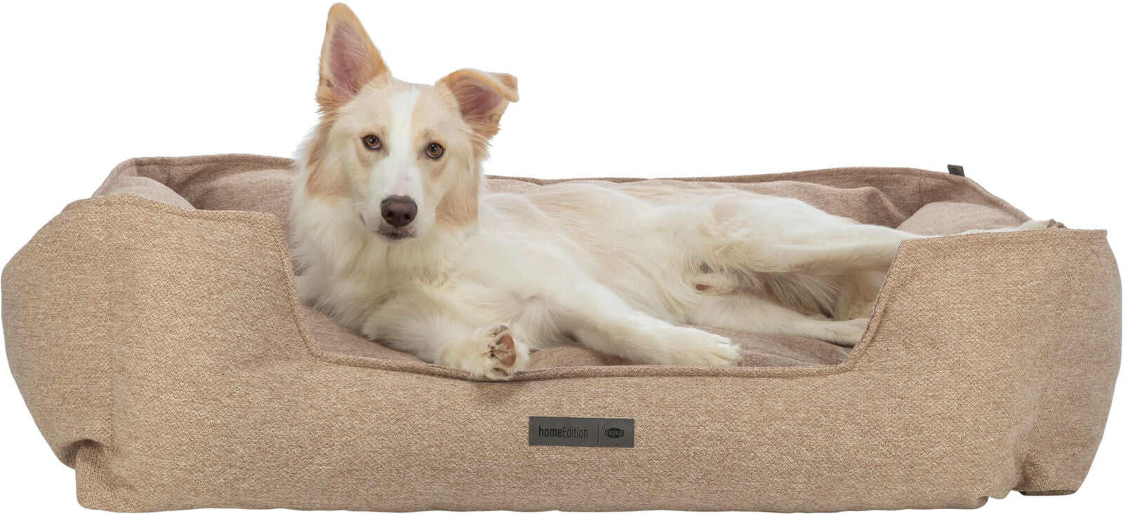 Ein Hund mit hellem Fell liegt entspannt in einem beigefarbenen Hundebett, auf dem Etikett steht "homeEdition".