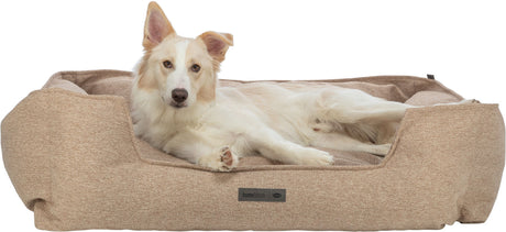 Ein Hund mit hellem Fell liegt entspannt in einem beigefarbenen Hundebett, auf dem Etikett steht "homeEdition".