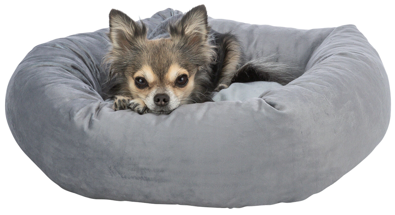 Kleiner Hund liegt entspannt in einem grauen, runden Hundebett mit weicher Oberfläche.