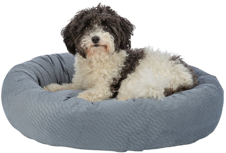 PHO_PRO_DOG_CLIP_37794-37795-1