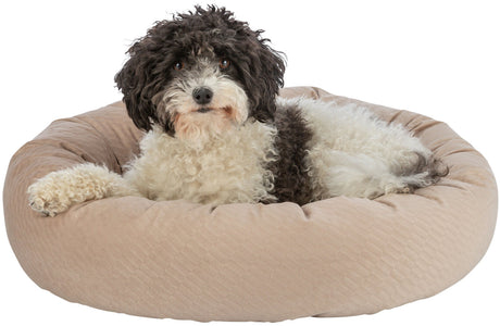 PHO_PRO_DOG_CLIP_37796-37797-1