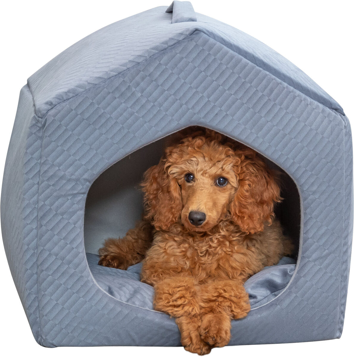 Ein brauner, lockiger Hund liegt in einer grauen, gepolsterten Höhle mit rautenförmigem Muster.