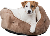 PHO_PRO_DOG_CLIP_37841-37842-2