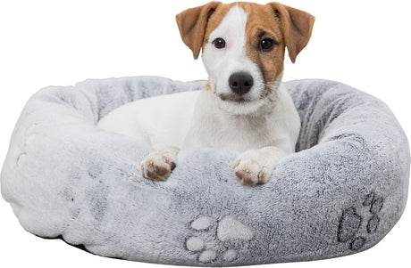 PHO_PRO_DOG_CLIP_37844-1