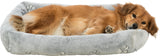 PHO_PRO_DOG_CLIP_37846-1
