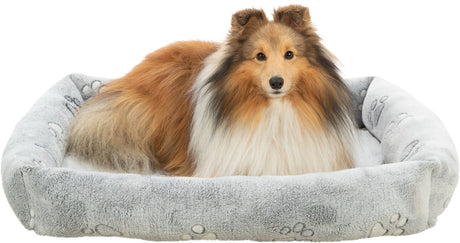 Ein Hund mit langem, dichtem Fell liegt in einem grauen, plüschigen Hundebett mit Pfotenabdrücken.