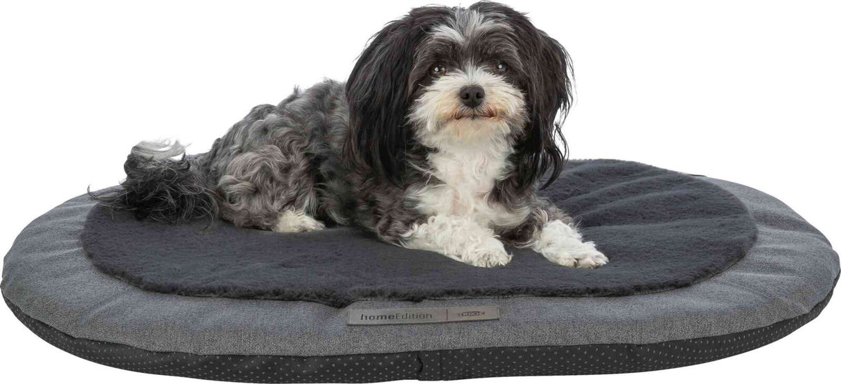 PHO_PRO_DOG_CLIP_37884-1