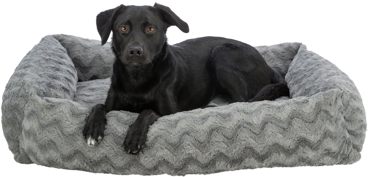 Ein schwarzer Hund liegt auf einem grauen, gemusterten Hundebett aus Plüsch und schaut nach vorne.