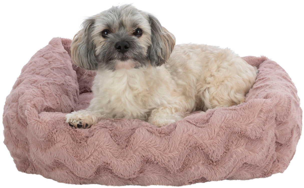 Ein kleiner, beiger Hund liegt in einem rosa, flauschigen Hundebett.