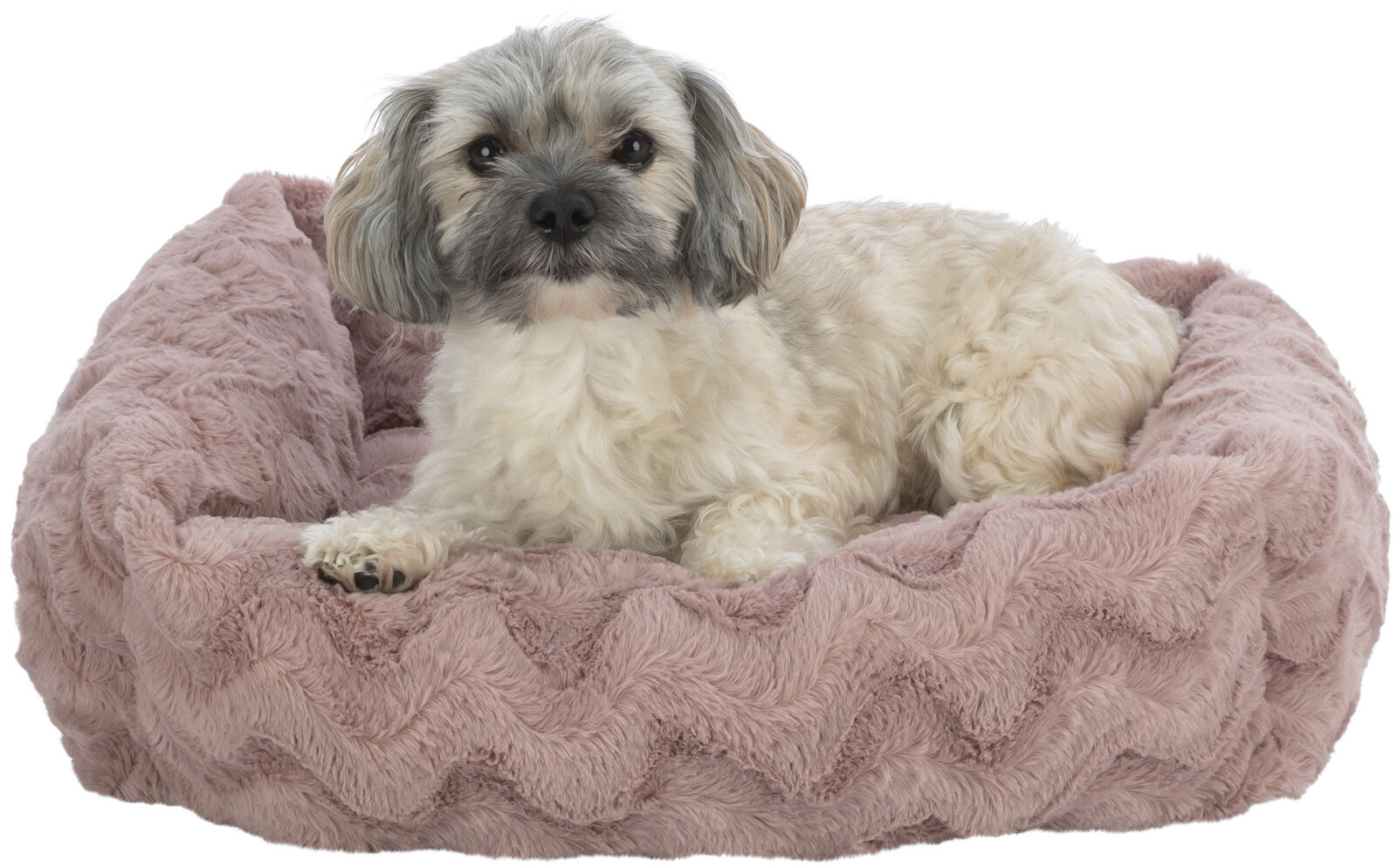 Ein kleiner, beiger Hund liegt in einem rosa, flauschigen Hundebett.