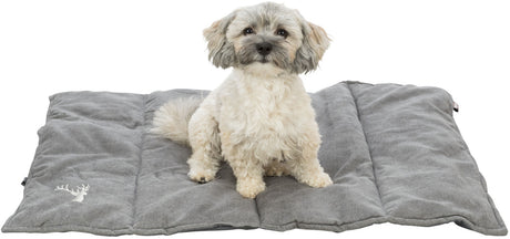 PHO_PRO_DOG_CLIP_37990-37991-1