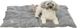 PHO_PRO_DOG_CLIP_37990-37991-2