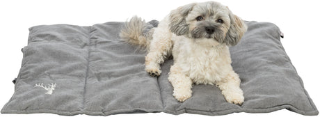 PHO_PRO_DOG_CLIP_37990-37991-2