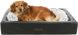 PHO_PRO_DOG_CLIP_38009-38300-1