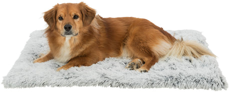 Ein mittelgroßer Hund mit braunem Fell liegt auf einer flauschigen, hellgrauen Decke und schaut in die Kamera.