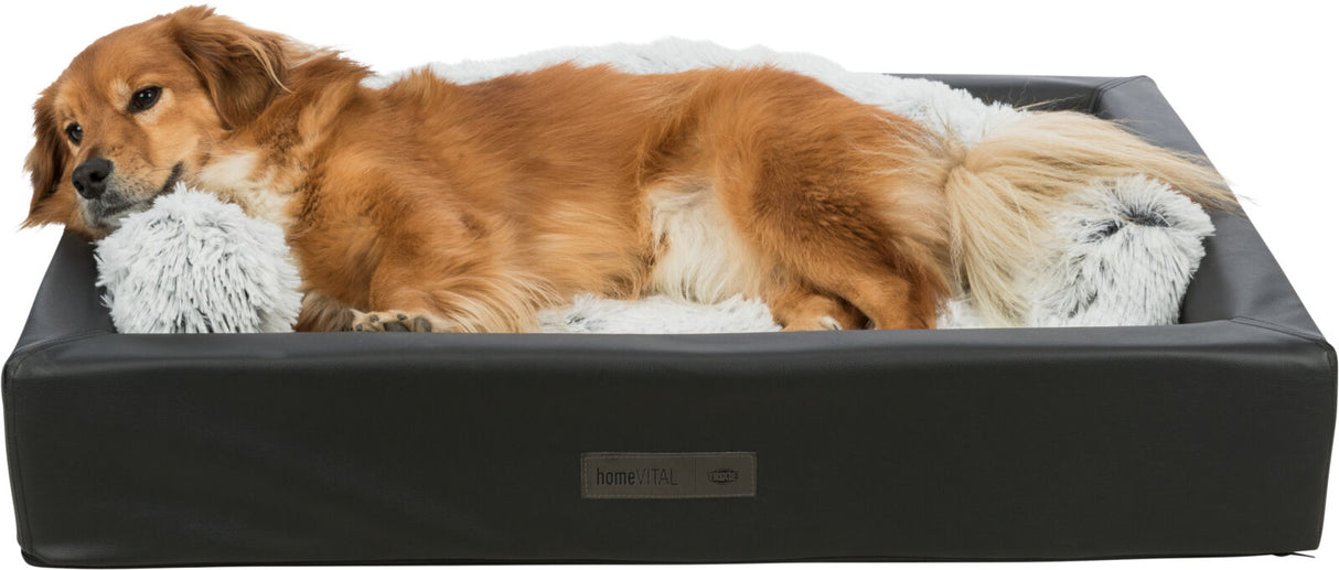 PHO_PRO_DOG_CLIP_38013-38009-38300-1