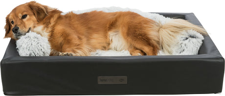 PHO_PRO_DOG_CLIP_38013-38009-38300-1