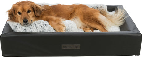 PHO_PRO_DOG_CLIP_38013-38009-38300-2