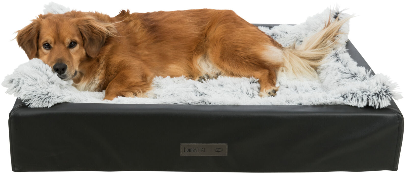 Ein brauner Hund liegt auf einem schwarzen, mit grauem Fell ausgelegten Hundebett; Etikett mit Aufschrift "home VITAL".