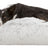 PHO_PRO_DOG_CLIP_38018-38019-1
