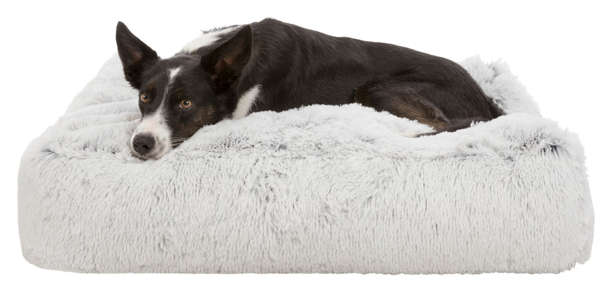 Hund liegt auf weichem, flauschigem grauem Kissen, Kopf zur Seite gedreht, entspannt und aufmerksam.