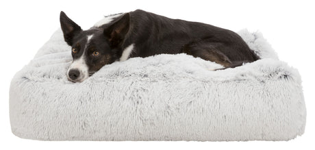 Hund liegt auf weichem, flauschigem grauem Kissen, Kopf zur Seite gedreht, entspannt und aufmerksam.