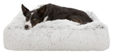 PHO_PRO_DOG_CLIP_38018-38019-1