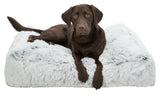 PHO_PRO_DOG_CLIP_38018-38019-2