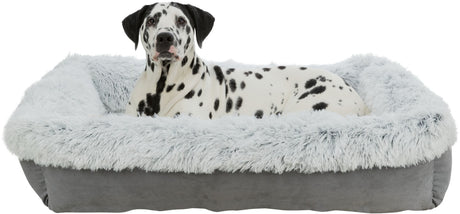 Ein Dalmatiner liegt in einem grauen Hundebett mit flauschigem, hellem Rand.