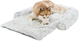 PHO_PRO_DOG_CLIP_38047-2