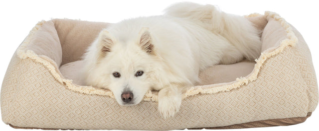 Weißer Hund liegt in einem beige-gemusterten Hundebett.