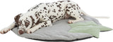 PHO_PRO_DOG_CLIP_38245-2