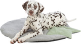PHO_PRO_DOG_CLIP_38245-3